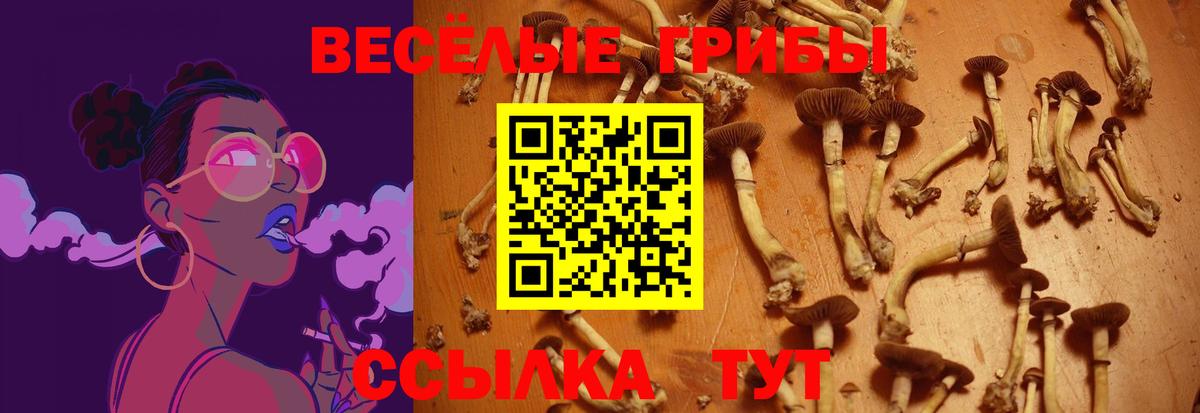 Обнинск  Галлюциногенные грибы ЛСД  Вход с VPN 